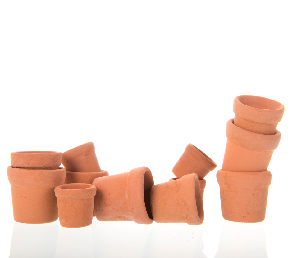 Free Kids Craft at the Columbia Farmers Market: Paint a Terracotta Pot